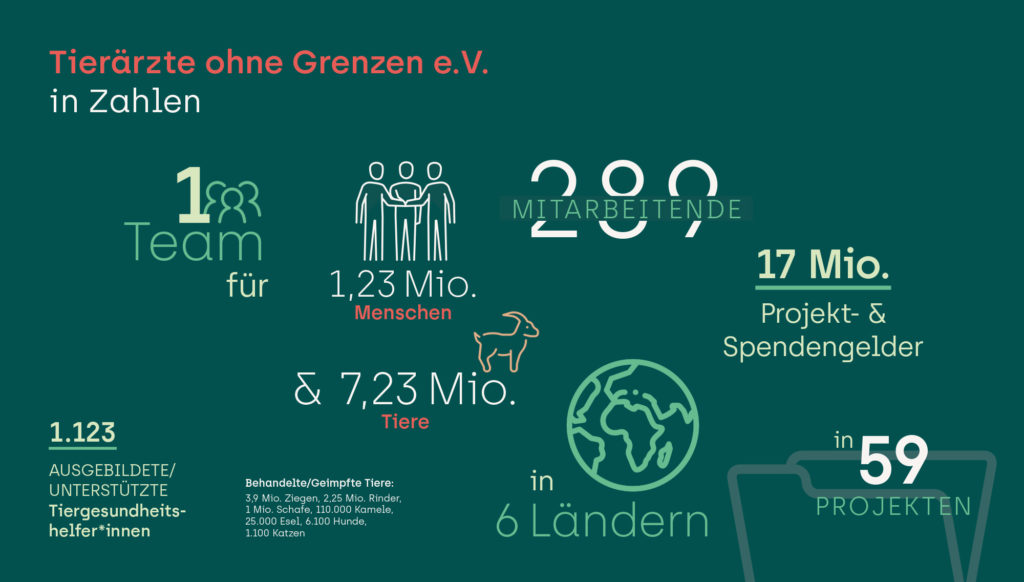 Jahresbericht